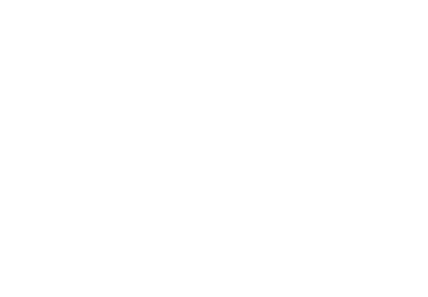 Big 5 Sporting Goods