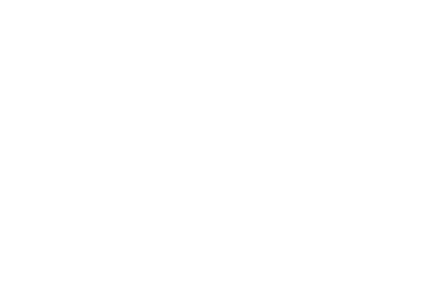 Lincoln Electric